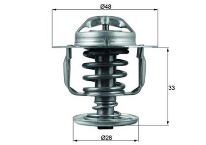 Thermostat, Kühlmittel