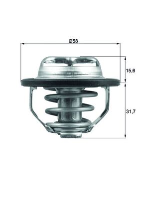 Thermostat, Kühlmittel