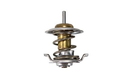 Thermostat, Kühlmittel