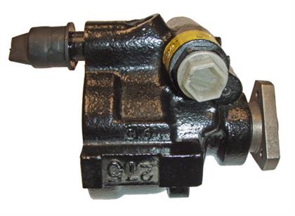 Servopumpe Renault