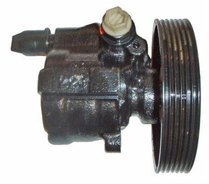 Hydraulikpumpe, Lenkung