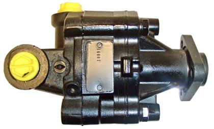 Servopumpe
