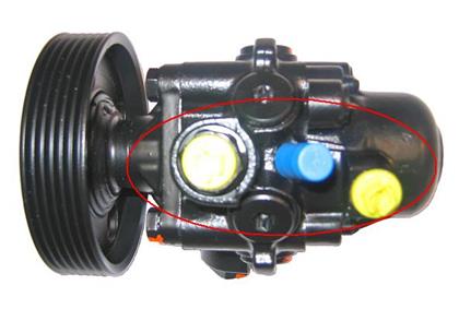 Servopumpe Citroën