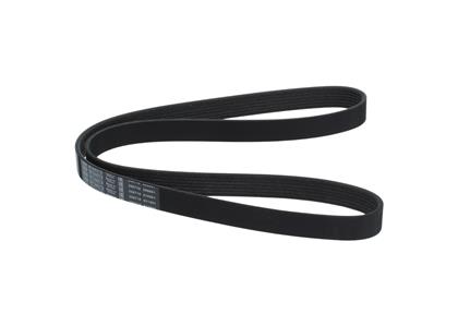 Keilrippenriemen 7PK1325