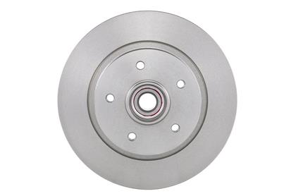 Bremsscheibe hinten Renault