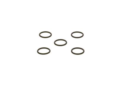 O-Ring
