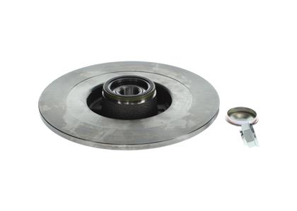 Bremsscheibe hinten Renault