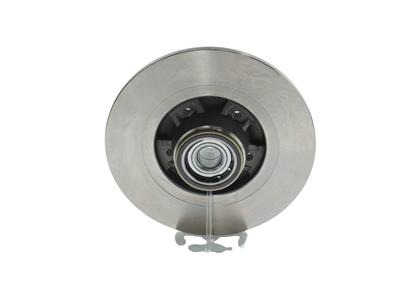 Bremsscheibe hinten Renault