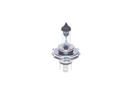H19-Lampe Pure Light H19 12V 60/55W