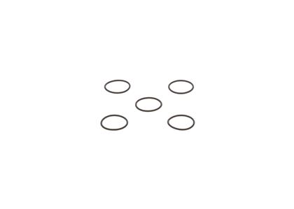 O-Ring