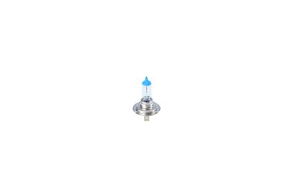 H7-Lampe Ultra White 4200K 12V 55W