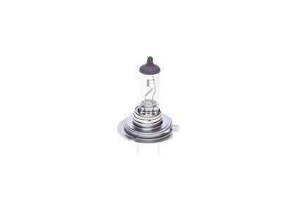 H7-Lampe Pure Light 12V 55W