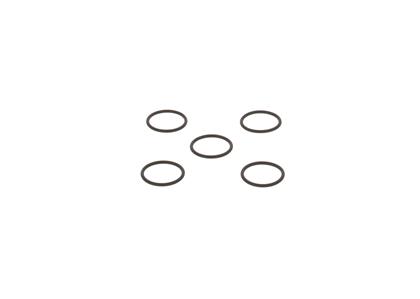 O-Ring