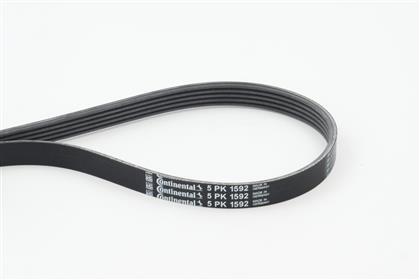 Keilrippenriemen 5PK1592