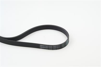 Keilrippenriemen 6PK1244