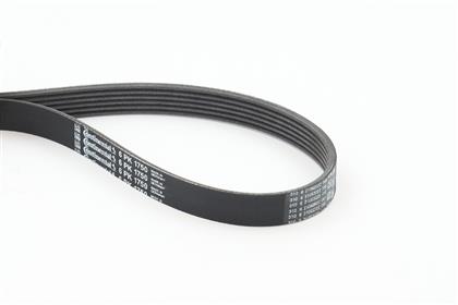 Keilrippenriemen 6PK1750