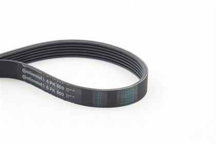 Keilrippenriemen 6PK800