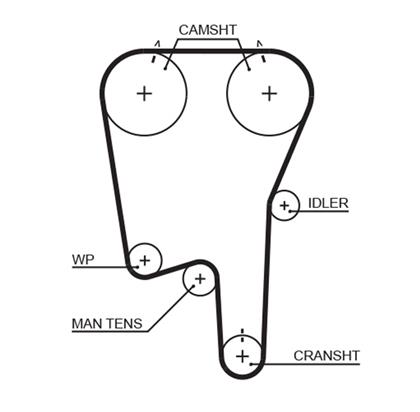 Zahnriemen PowerGrip®