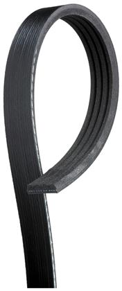 Keilrippenriemen 4PK705SF