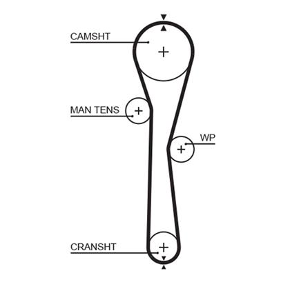 Zahnriemen PowerGrip®