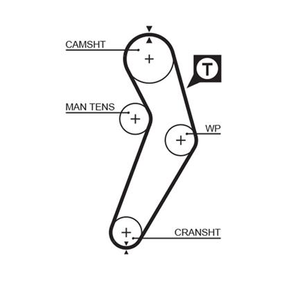 Zahnriemen PowerGrip®