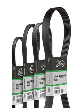 Keilriemen CB0006