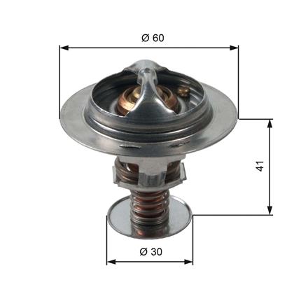 Thermostat, Kühlmittel