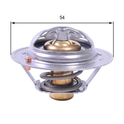 Thermostat, Kühlmittel