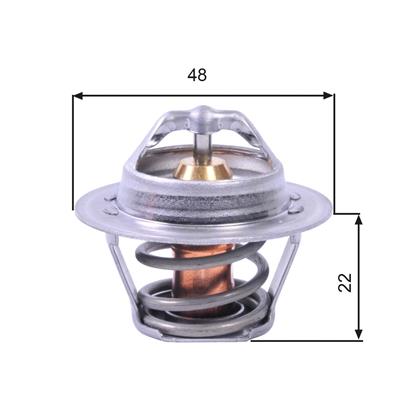 Thermostat, Kühlmittel
