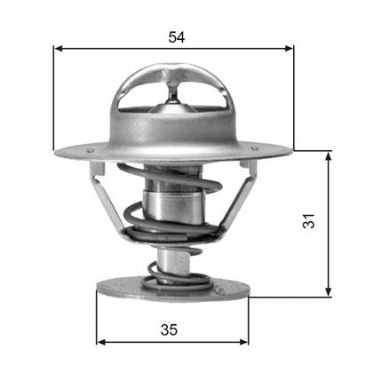 Thermostat, Kühlmittel