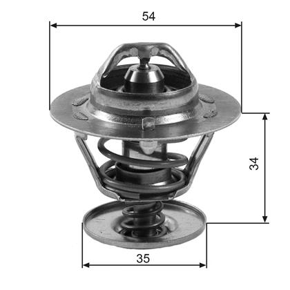 Thermostat, Kühlmittel
