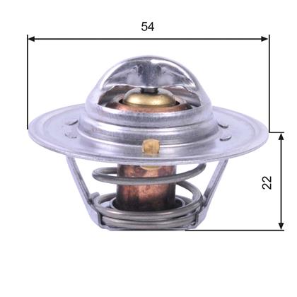 Thermostat, Kühlmittel