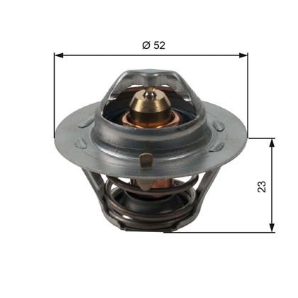 Thermostat, Kühlmittel
