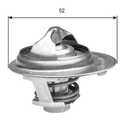 Thermostat, Kühlmittel
