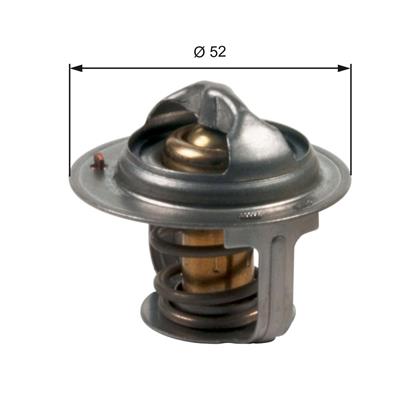 Thermostat, Kühlmittel