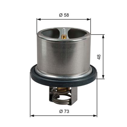 Thermostat, Kühlmittel