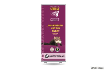 Präsentations-RollUp