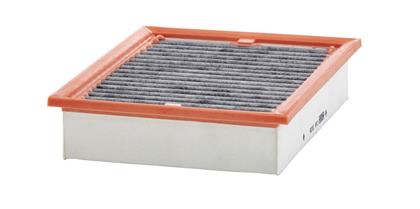 Filter, Innenraumluft RG 1