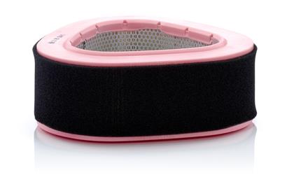 Filter, Innenraumluft RG  3