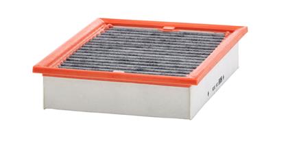 Filter, Innenraumluft RG  1