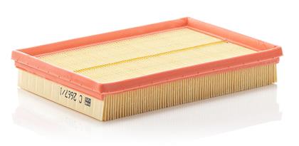 Luftfilter RG 9