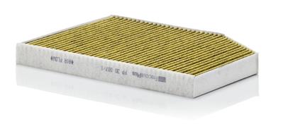 Filter, Innenraumluft RG  1