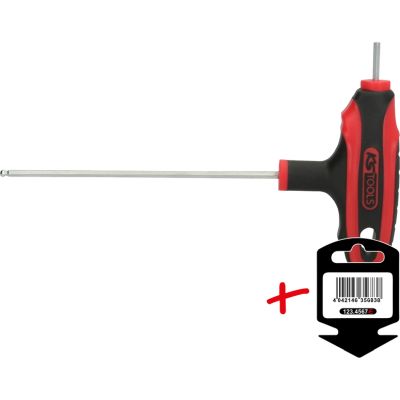Ergotorque+