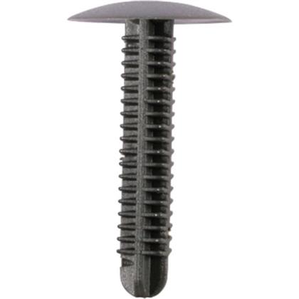 Clip, Kofferraum