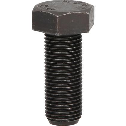 Zentrierschraube, Riemenscheibe-Kurbelwelle