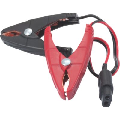 Smartcharger