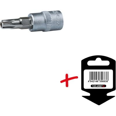 1/4" TX-Bit-Stecknuß T 25