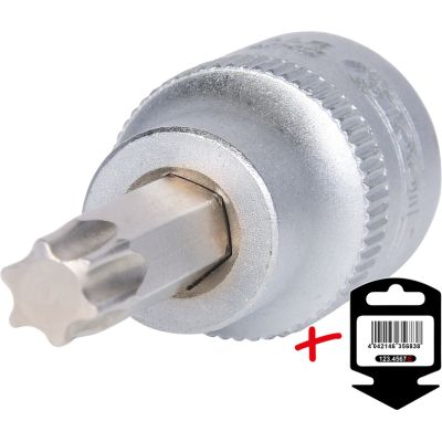 3/8" TX-Bit-Stecknuß T40