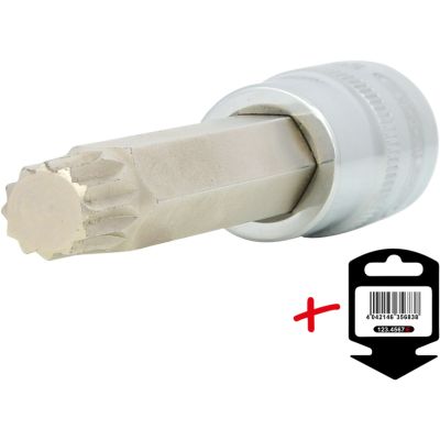 1/2'' XZN-Bit-Stecknuß