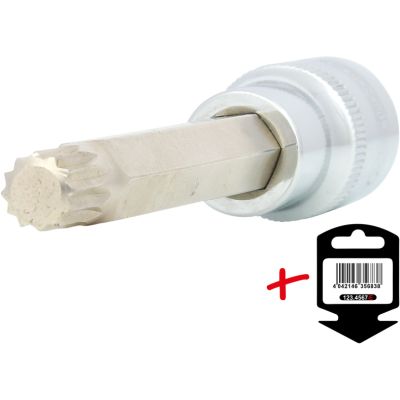 1/2'' XZN-Bit-Stecknuß